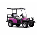 EXCAR 4 lugares carro de golfe elétrico carro clube carrinho de golfe para venda carrinho de buggy